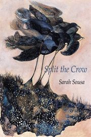 Split the crow cover image