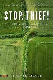 Stop, thief! : the commons, enclosures, and resistance cover image
