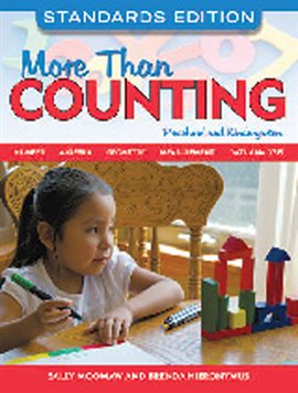 Cover image for More Than Counting
