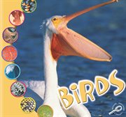 Birds Birds