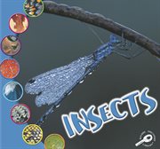 Insects Insects