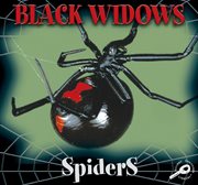 Black Widow Spiders Black Widow Spiders