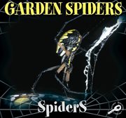Garden Spiders Garden Spiders