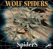 Wolf Spiders Wolf Spiders