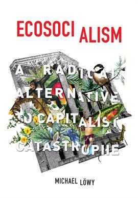 Cover image for Ecosocialism