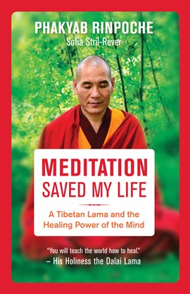 Cover image for Meditation Saved My Life