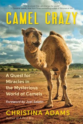 Cover image for Camel Crazy