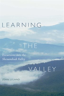 Cover image for Learning the Valley