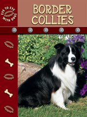 Border Collies Border Collies