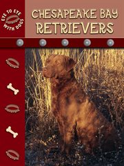 Chesapeake Bay Retriever Chesapeake Bay Retriever