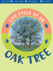 Oak Tree Oak Tree