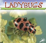 Ladybugs Ladybugs