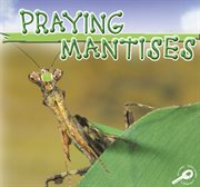 Praying Mantises Praying Mantises