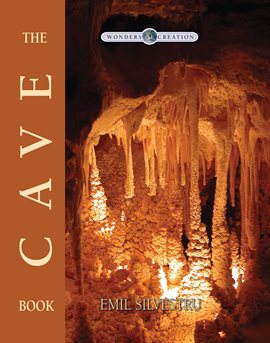 Cover image for The Cave Book