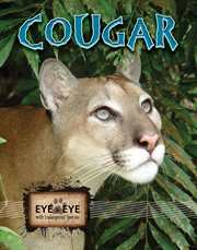 Cougars Cougars