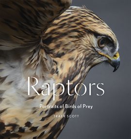 Cover image for Raptors
