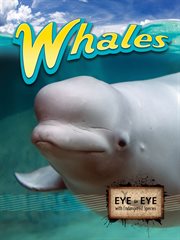 Whales Whales