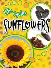 Sunflowers Sunflowers