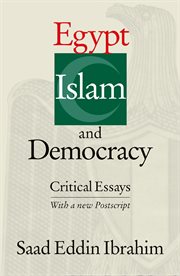 Egypt, Islam, and democracy : critical essays, with a new postscript cover image