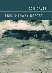 Preliminary report cover image