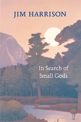 Cover image for In Search of Small Gods