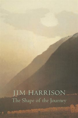 Cover image for The Shape of the Journey