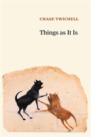 Things as it is cover image
