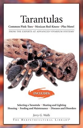 Cover image for Tarantulas