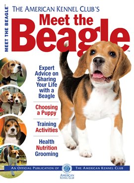 Cover image for Meet the Beagle