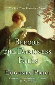 Before the darkness falls : a novel cover image