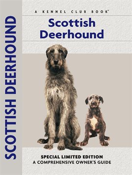 Cover image for Scottish Deerhound