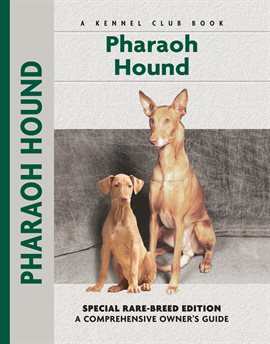 Cover image for Pharaoh Hound