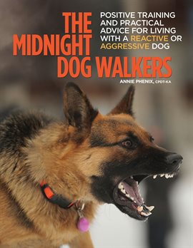Cover image for The Midnight Dog Walkers