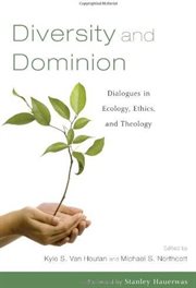 DIVERSITY AND DOMINION cover image