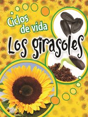 Ciclos de vida los girasoles Ciclos de vida los girasoles