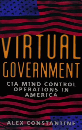 Cover image for Virtual Government