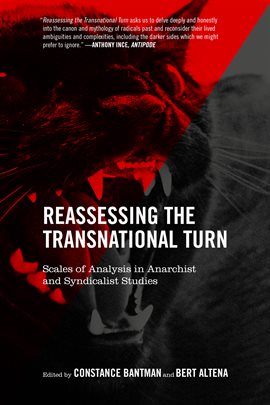 Cover image for Reassessing the Transnational Turn