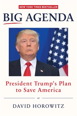 Cover image for Big Agenda
