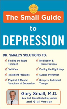 Cover image for The Small Guide to Depression