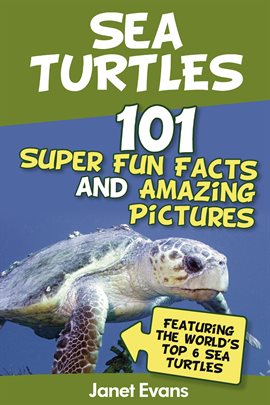 Cover image for Sea Turtles : 101 Super Fun Facts and Amazing Pictures (Featuring the World's Top 6 Sea Turtles)