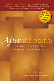 After the storm : healing after trauma, tragedy and terror cover image