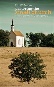 Pastoring the small church. Remaining Faithful in a Big Church World cover image