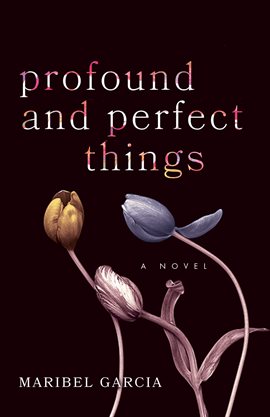 Cover image for Profound and Perfect Things