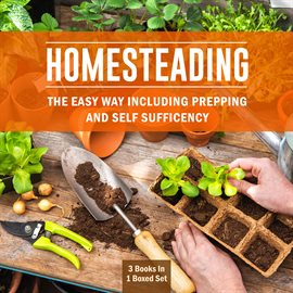 Cover image for Homesteading The Easy Way Including Prepping And Self Sufficency: 3 Books In 1 Boxed Set