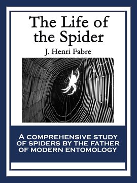 Cover image for The Life of the Spider