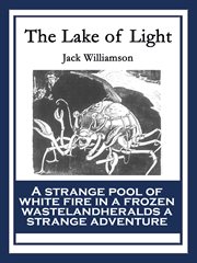 The lake of light cover image