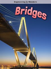 Bridges Bridges