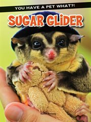 Sugar Glider Sugar Glider