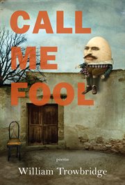 Call Me Fool cover image