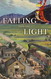 Falling into the light cover image